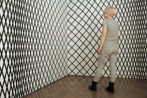 http://amygarofano.com/files/gimgs/th-9_ratio room_martha.gif